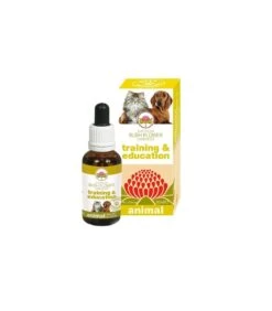 Bush Flower Training & Education 30 Ml