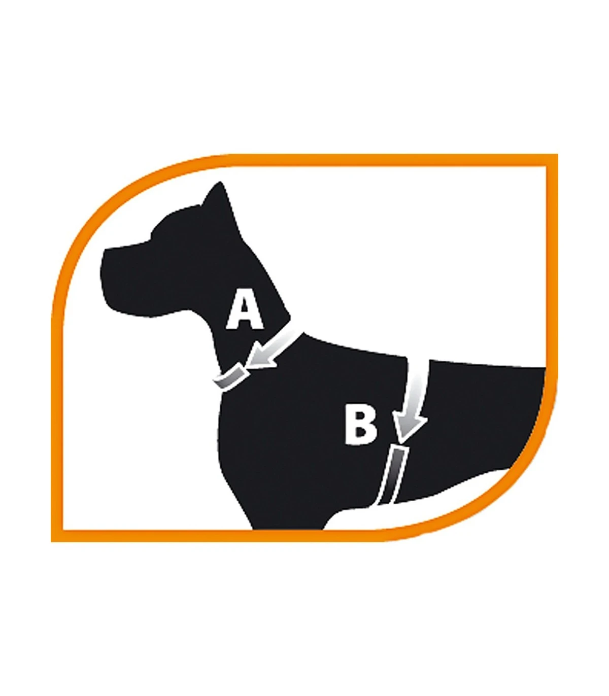 Ferplast Champion P Large Rossa Pettorina 2 Ferplast Champion P Large Rossa Pettorina - immagine 2