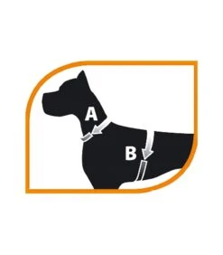 Ferplast Jogging Large Pettorina Con Guinzaglio -Cani Vendite ferplast jogging large pettorina con guinzaglio 2