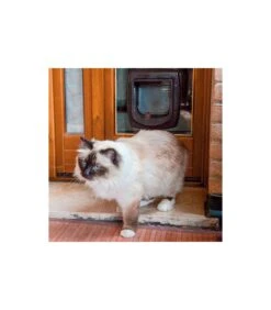 Ferplast Swing Microchip Marrone -Cani Vendite ferplast swing microchip marrone 2