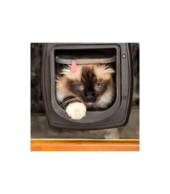 Ferplast Swing Microchip Marrone -Cani Vendite ferplast swing microchip marrone 3